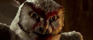 GrimbleOwlsofGahooleCap