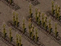 FO01 NPC Curtis.png