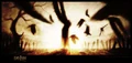 Death flight.jpg