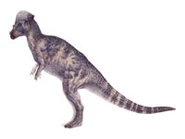 Pachycephalosaurus