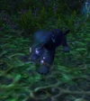 Gaivan Shadewalker