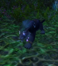 Image of Gaivan Shadewalker
