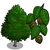 Red Alder-icon.png