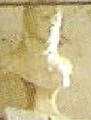Bustofrowena.jpg