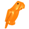 Orange Shoulder Parrot
