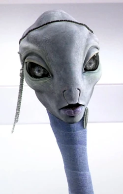 Taun We.jpg