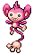 Aipom NB variocolor hembra