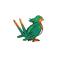 Swellow espalda G5 variocolor