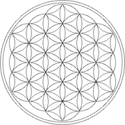 Flower of Life.gif