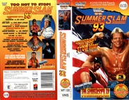 SummerSlam 1993