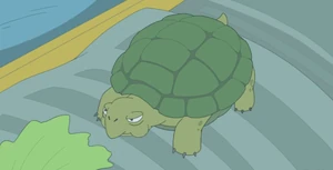 Turtrussell