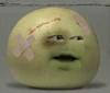 Grapefruit Alive!!
