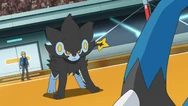 Volkner Luxray