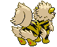 Arcanine espalda G5 variocolor