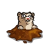 Frontier Fred-icon.png