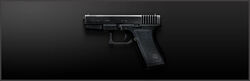 Main g23.jpg