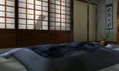 DOAD Hayate Kasumi Night