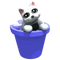 Cat white