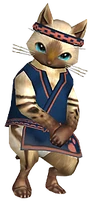 Felyne