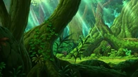 EP678 interior del Bosque Yagurama