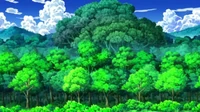 EP678 exterior del Bosque Yagurama