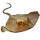 Item southernstingray 01