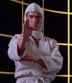 Aikido fighter.jpg