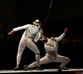 Fencing 3.jpg