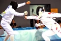 Bremmer fencing.jpg