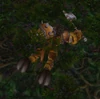 Wounded Mor'shan Defender