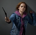 Hermione Bella's Wand.JPG