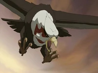 Raven eagle
