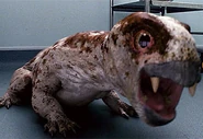 Creature diictodon