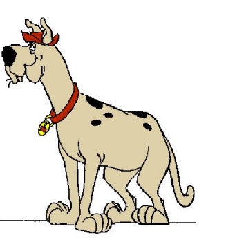http://images3.wikia.nocookie.net/__cb20110130102321/hanna-barbera/images/9/90/Scooby-dum.jpg