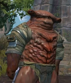 FleshRaider