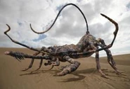 Scorpion-300x2061