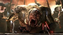 Starkiller v Gorog