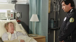 3x19