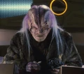 Kago-Darr.jpg