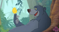 baloo just eat