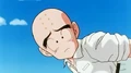 Krillin15