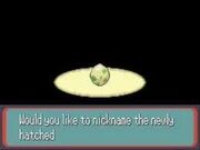 Bad Egg