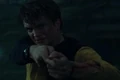 Cedric wand.JPG