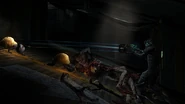 Ds2 crawler
