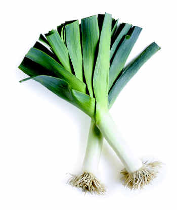 picture of leeks