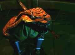 Ki_riptor_mov.jpg