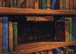 Invisibility Section