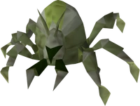 kalphite larva