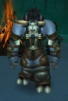 Earthmender Duarn