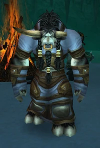 Earthmender Duarn